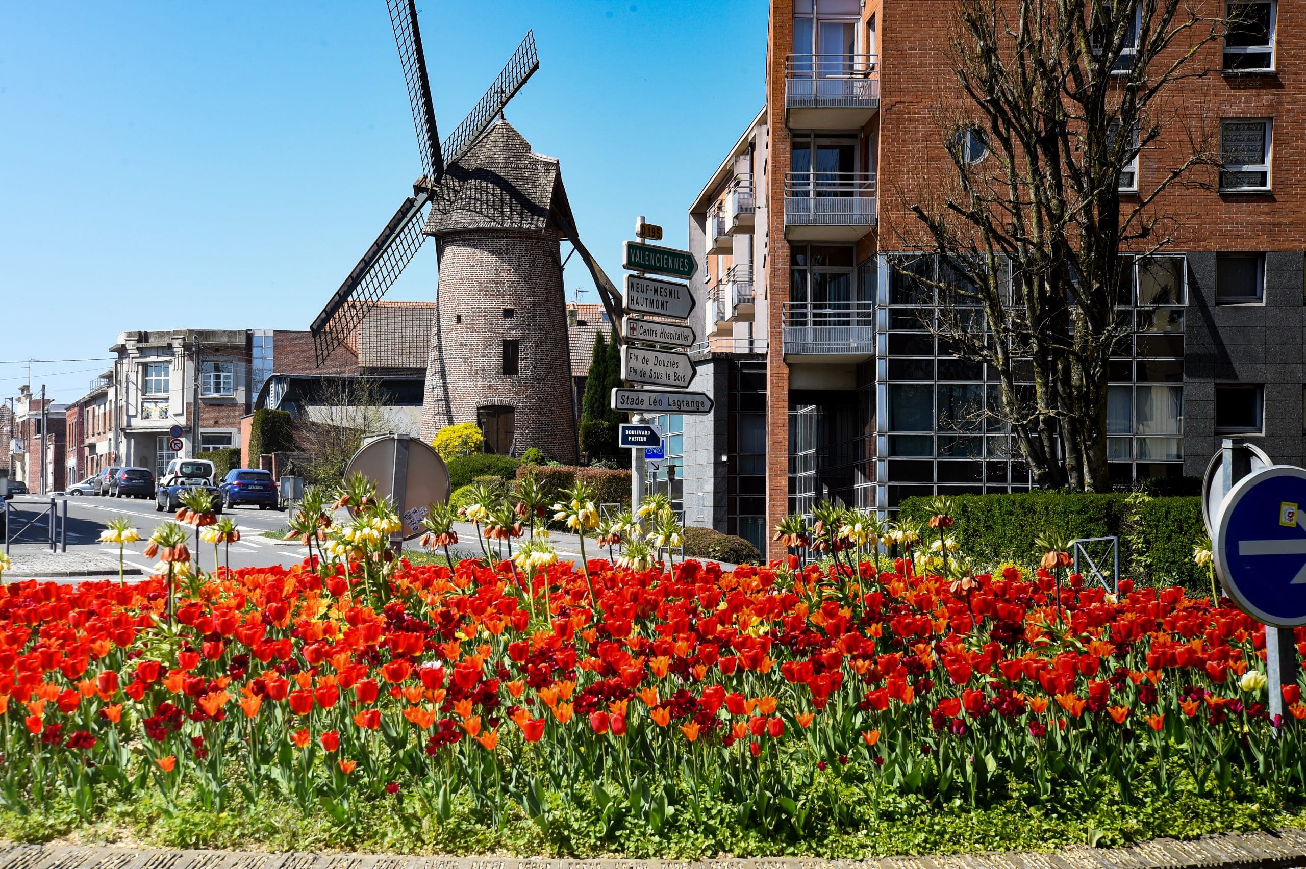 Immobilier Maubeuge, Nidéal Immobilier votre agence immobilière